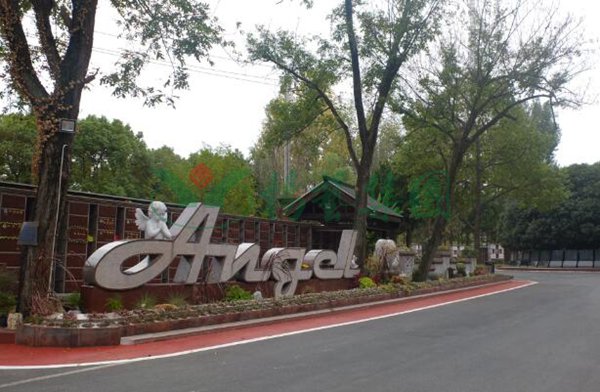 优德88·(中国区)官方网站