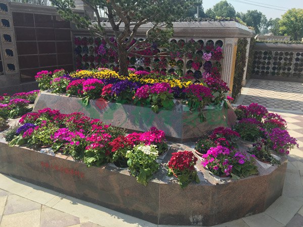 优德88·(中国区)官方网站