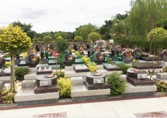 上海唬；；；；懔靶腔鹎