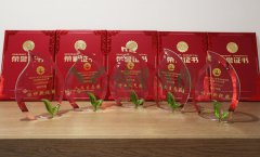 “优德88杯”浙江省节地生态埋葬设计作品奖