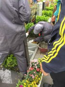 【优德88人别样清明】2018年清明落葬事情圆满完成