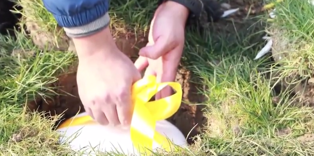 优德88·(中国区)官方网站