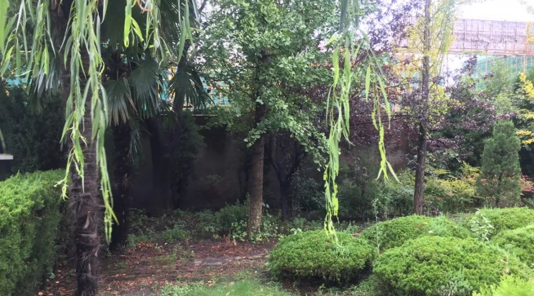 优德88·(中国区)官方网站