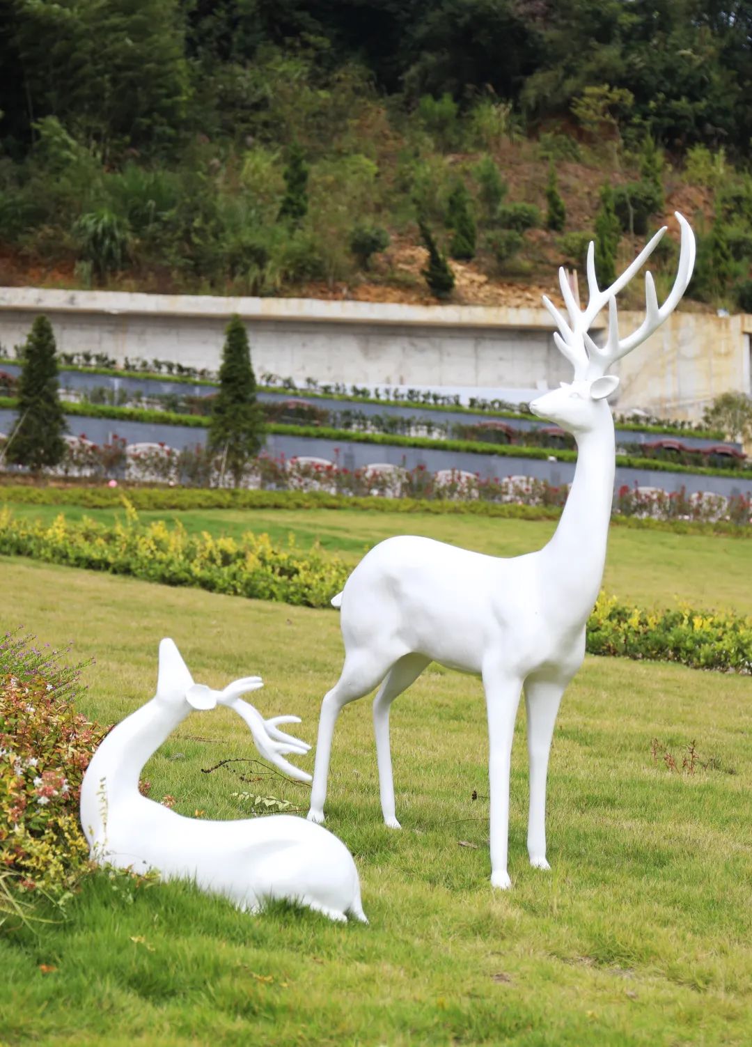 优德88·(中国区)官方网站