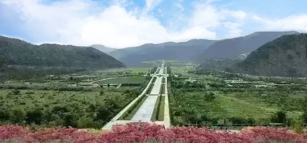 优德88·(中国区)官方网站