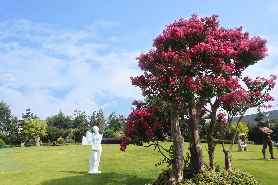 优德88·(中国区)官方网站