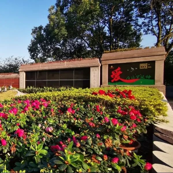 优德88·(中国区)官方网站