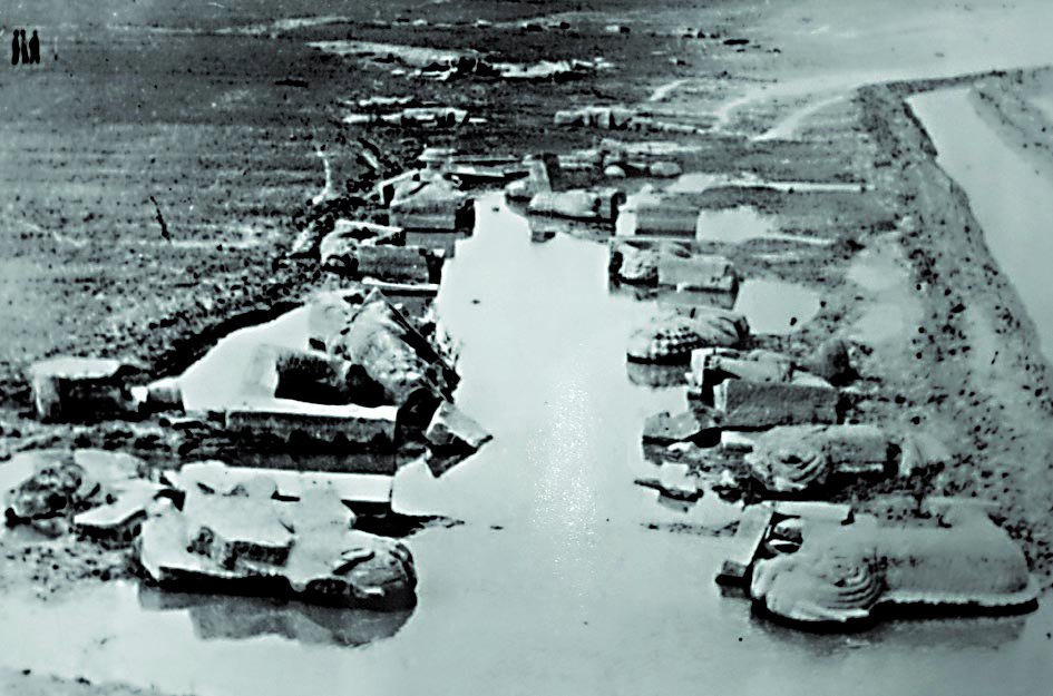 优德88·(中国区)官方网站