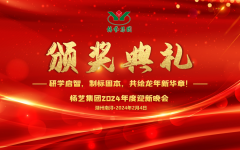 2024年优德88集团迎新春年会暨颁奖仪式盛放纵行