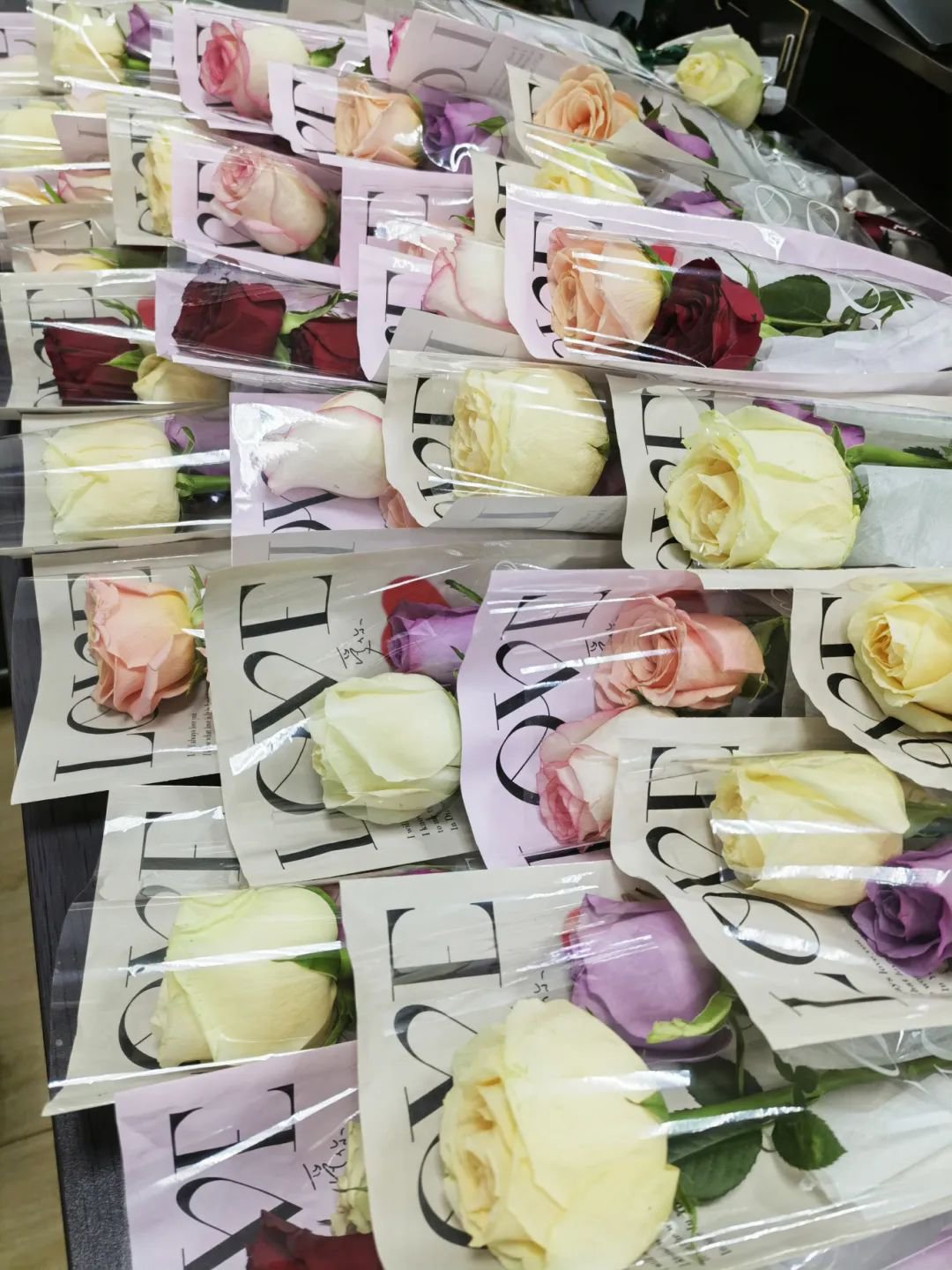 优德88·(中国区)官方网站