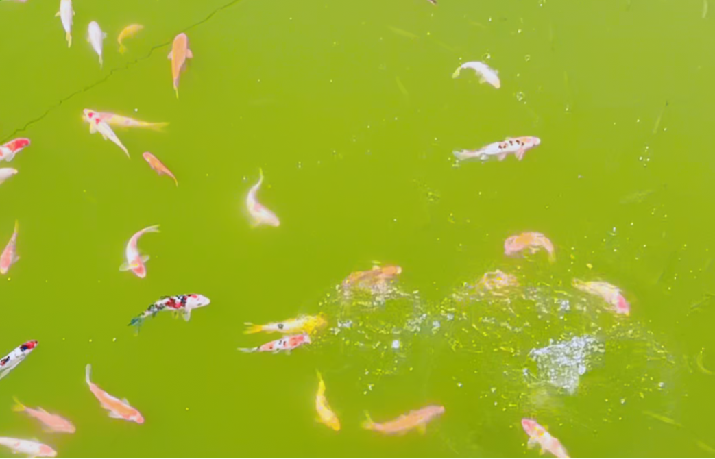 优德88·(中国区)官方网站