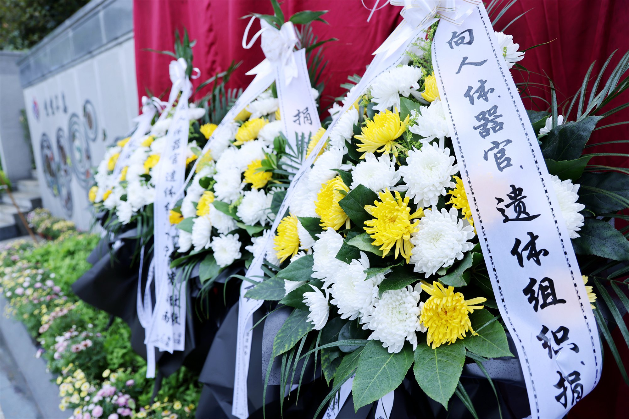 优德88·(中国区)官方网站