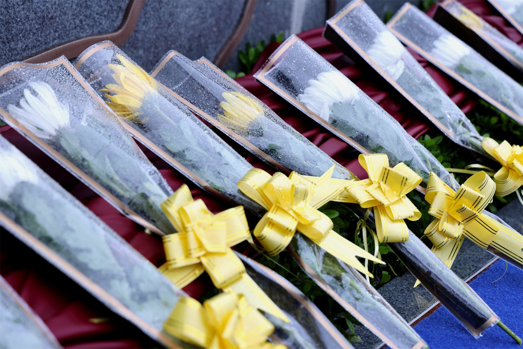 优德88·(中国区)官方网站