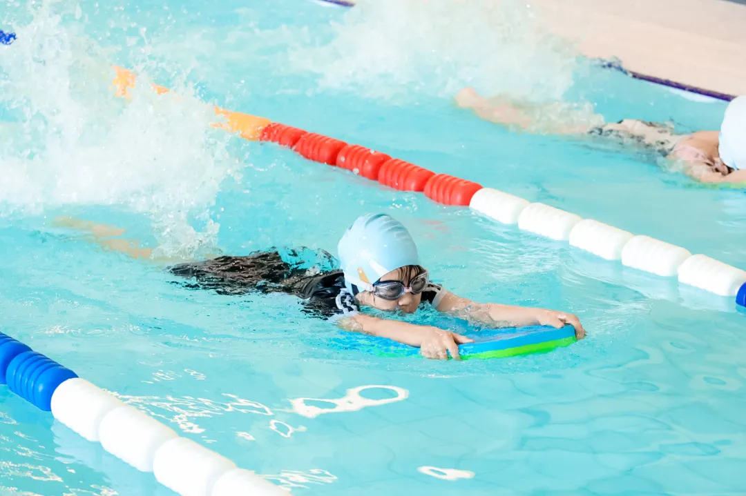 优德88·(中国区)官方网站