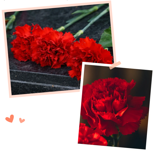 优德88·(中国区)官方网站