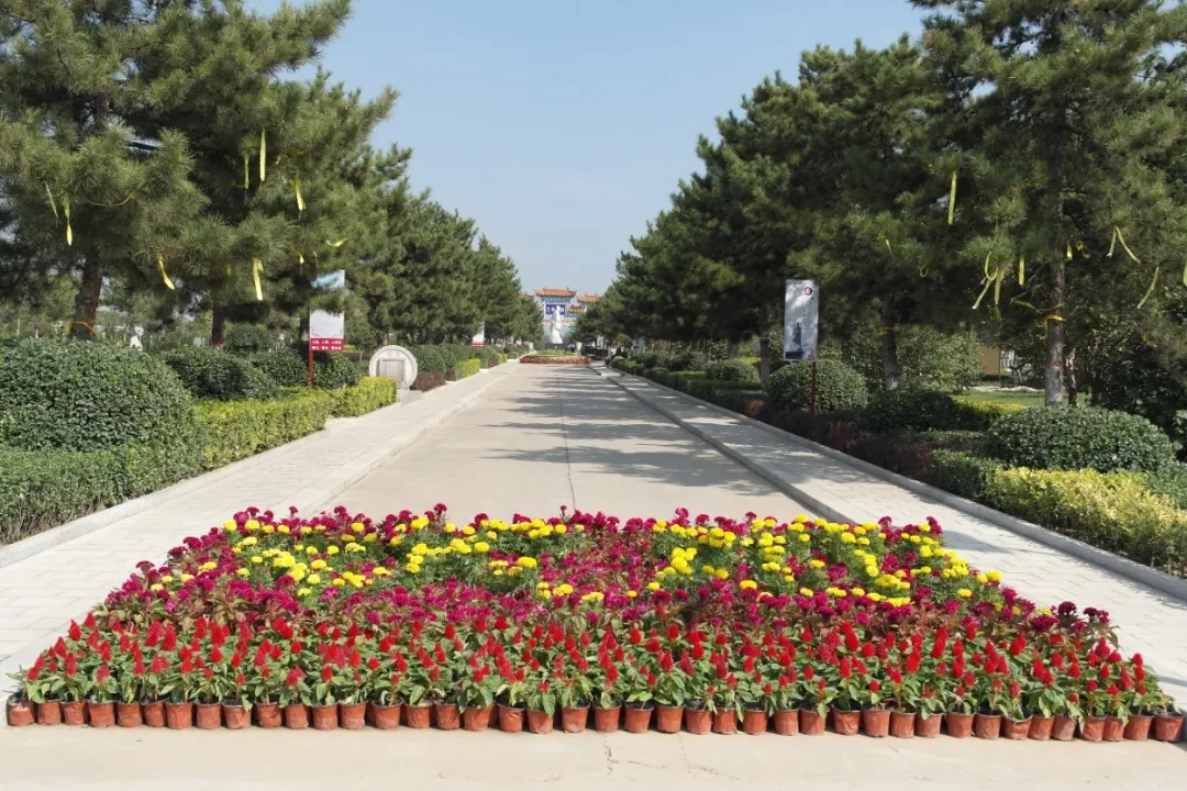 优德88·(中国区)官方网站