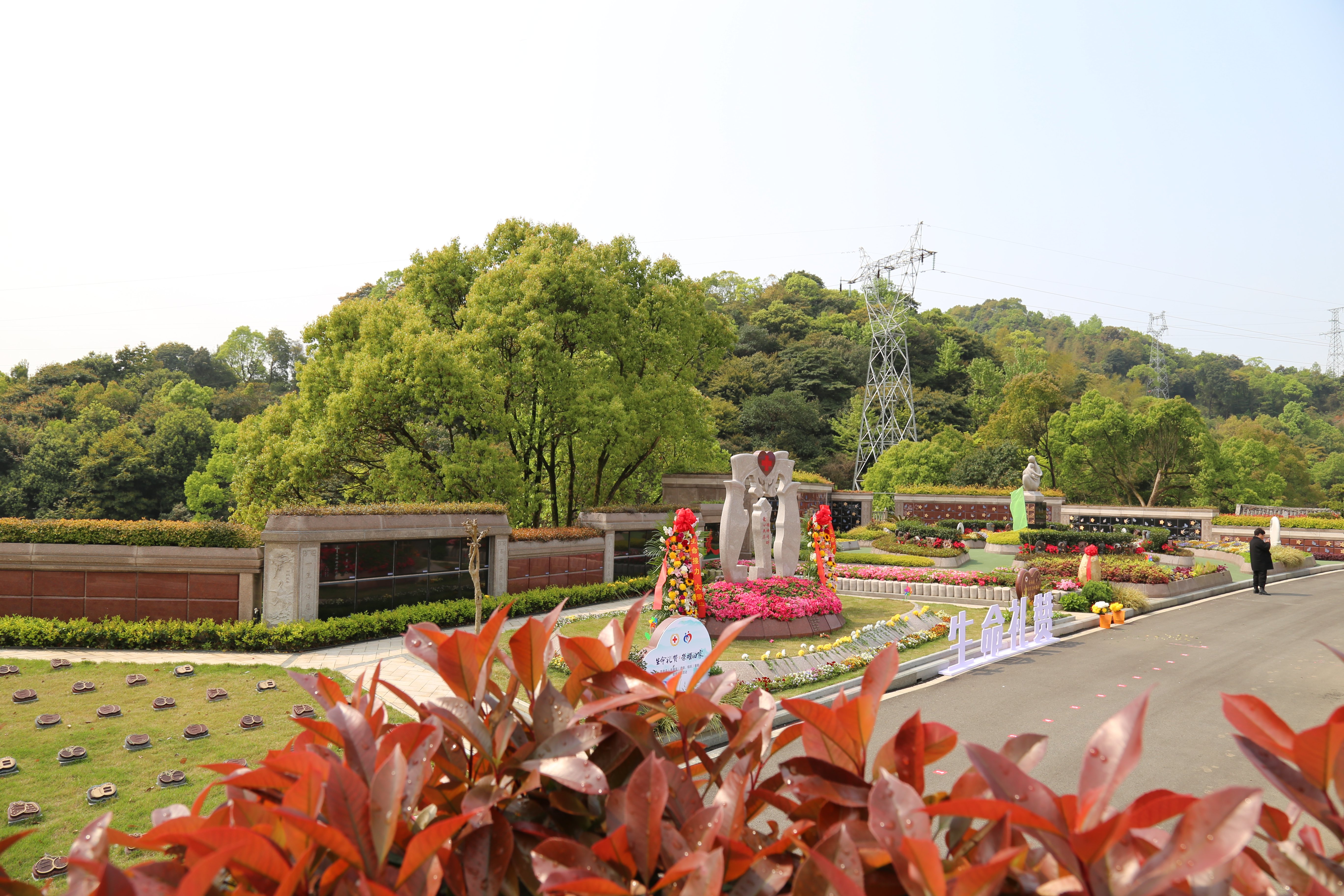 优德88·(中国区)官方网站