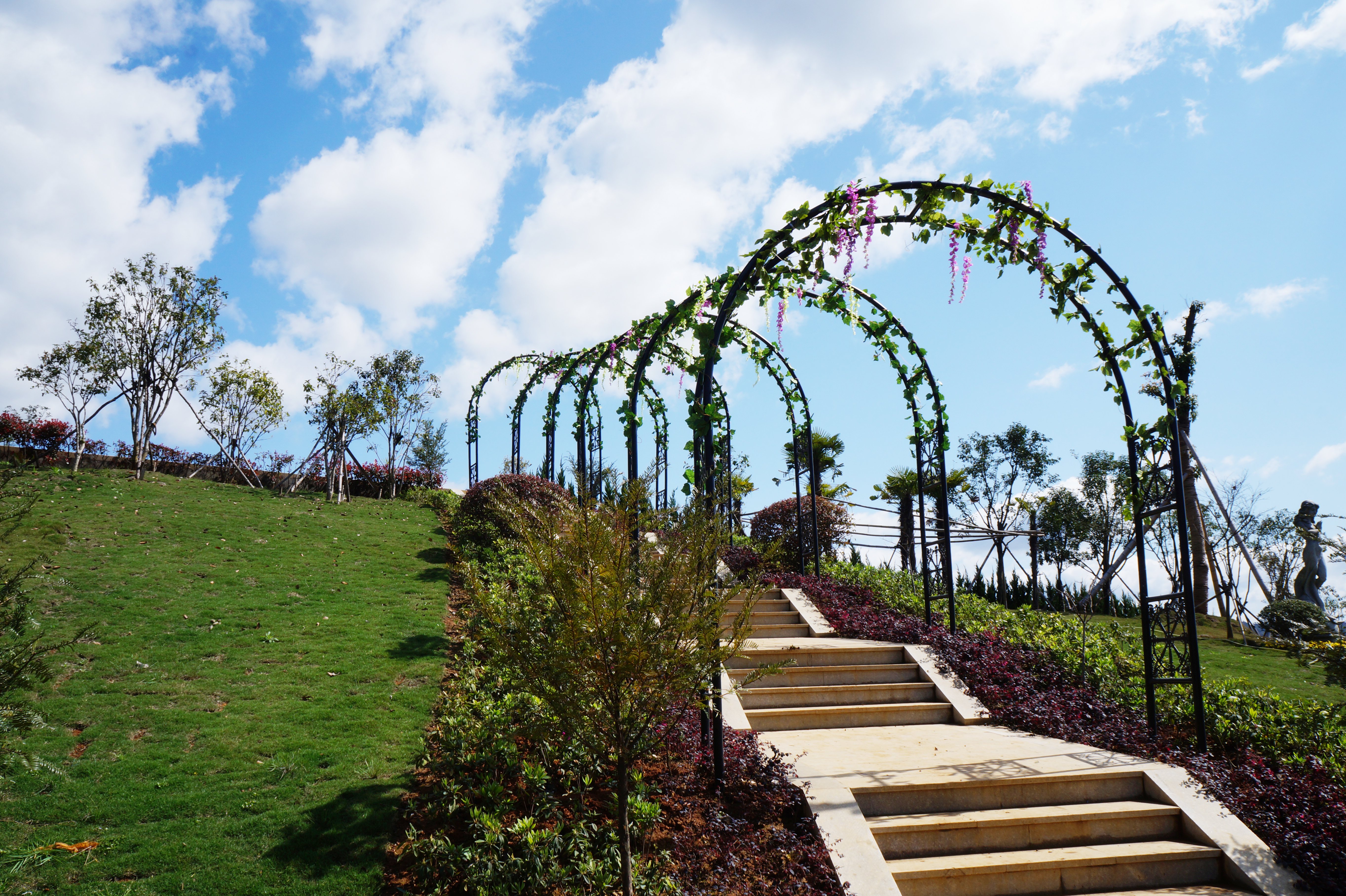 优德88·(中国区)官方网站