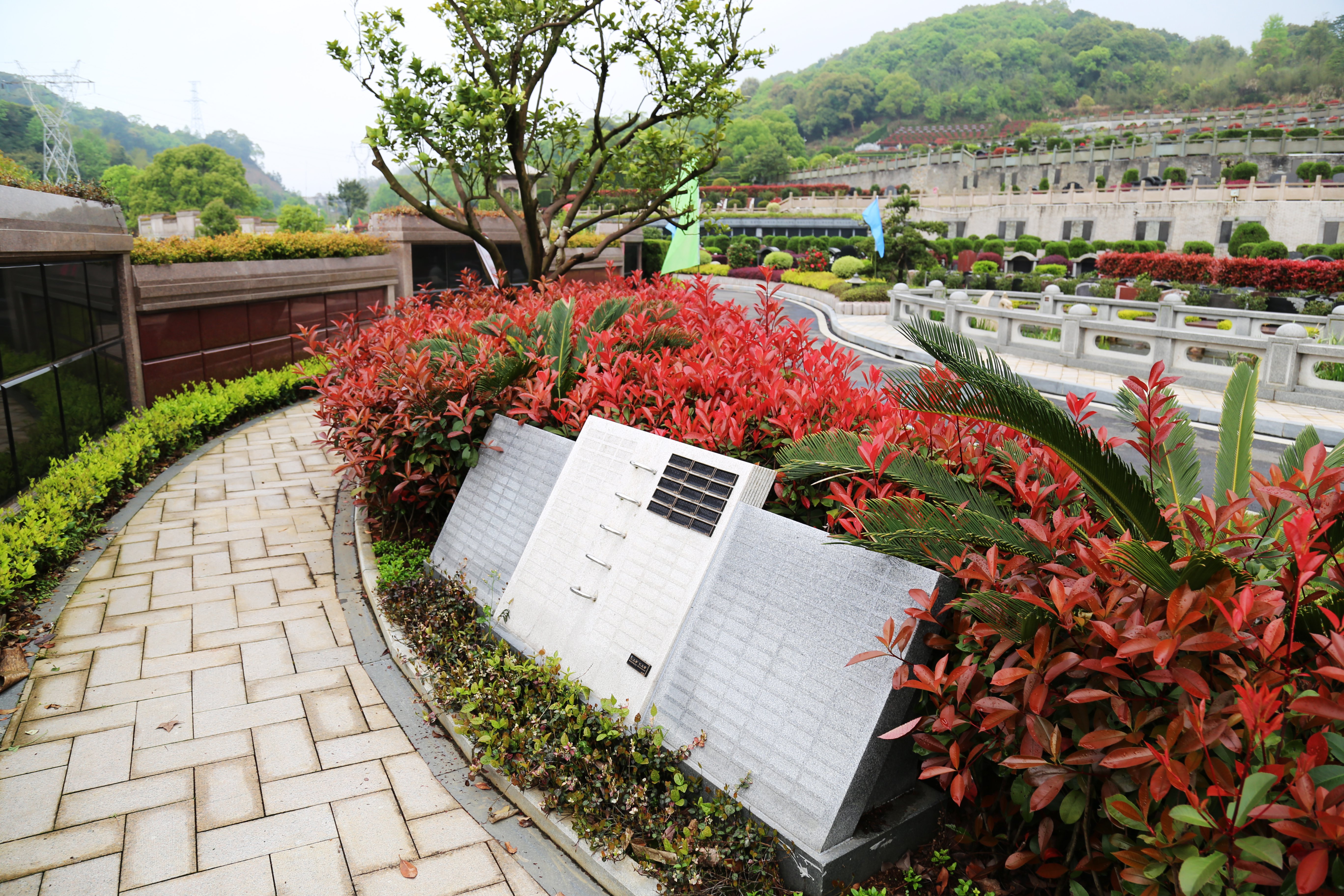 优德88·(中国区)官方网站