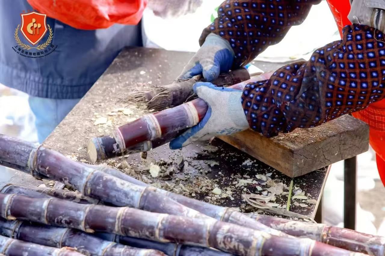 优德88·(中国区)官方网站