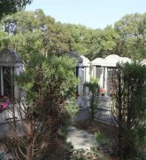 绿色生态葬：文明赓续的绿色选择