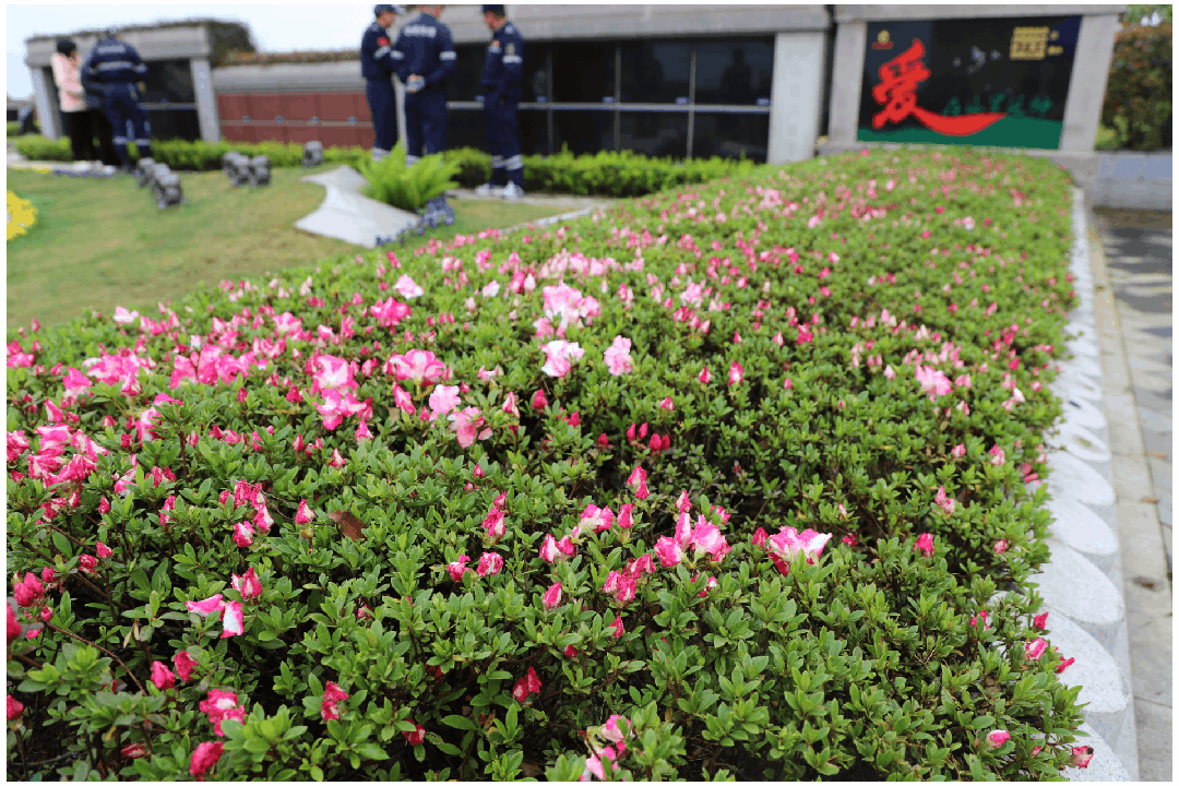 优德88·(中国区)官方网站