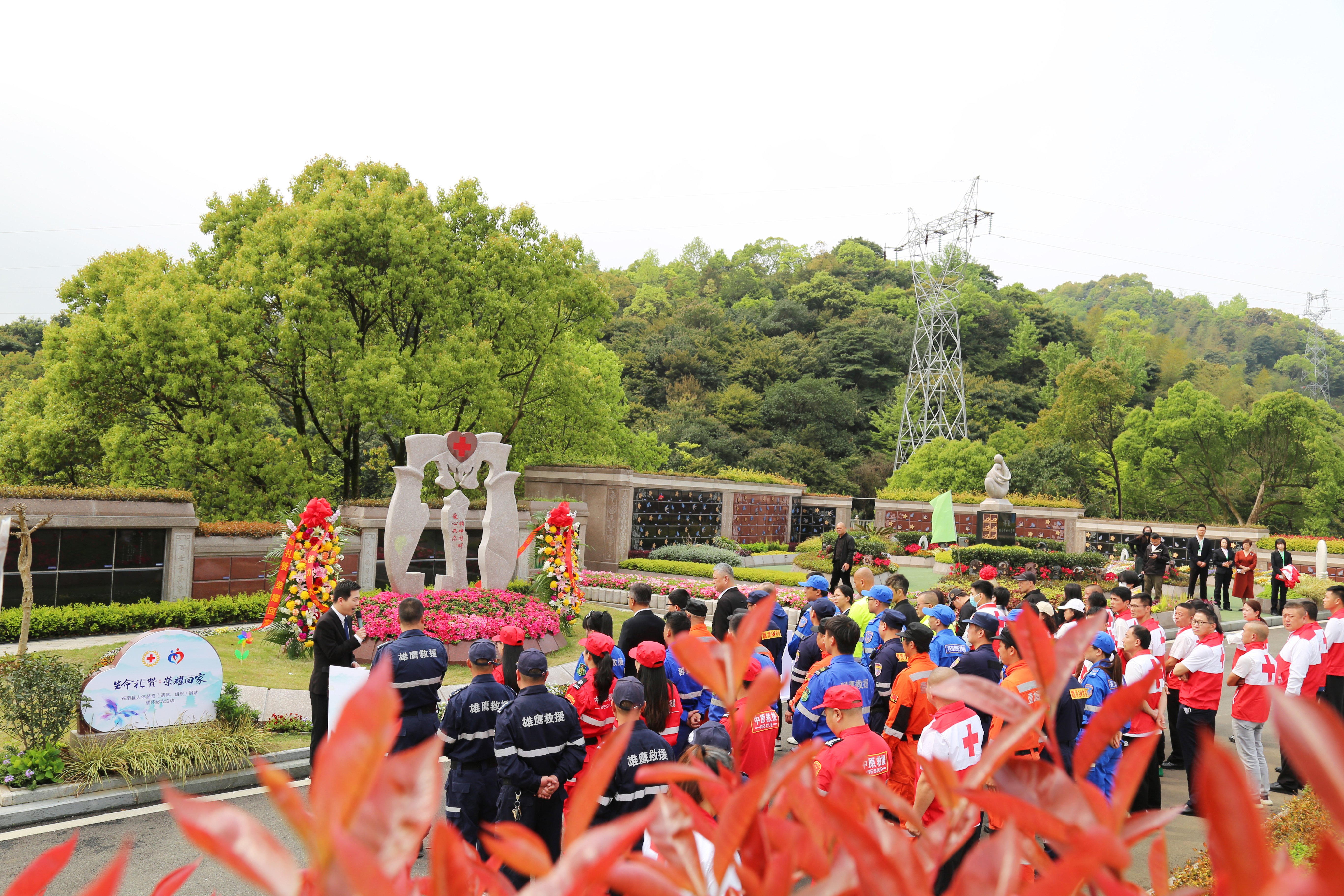 优德88·(中国区)官方网站