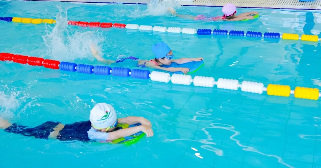 优德88·(中国区)官方网站