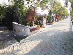 都会最后一平米：生态葬，，，，，是与自然的息争？？？？？照旧无奈的选择？？？？？