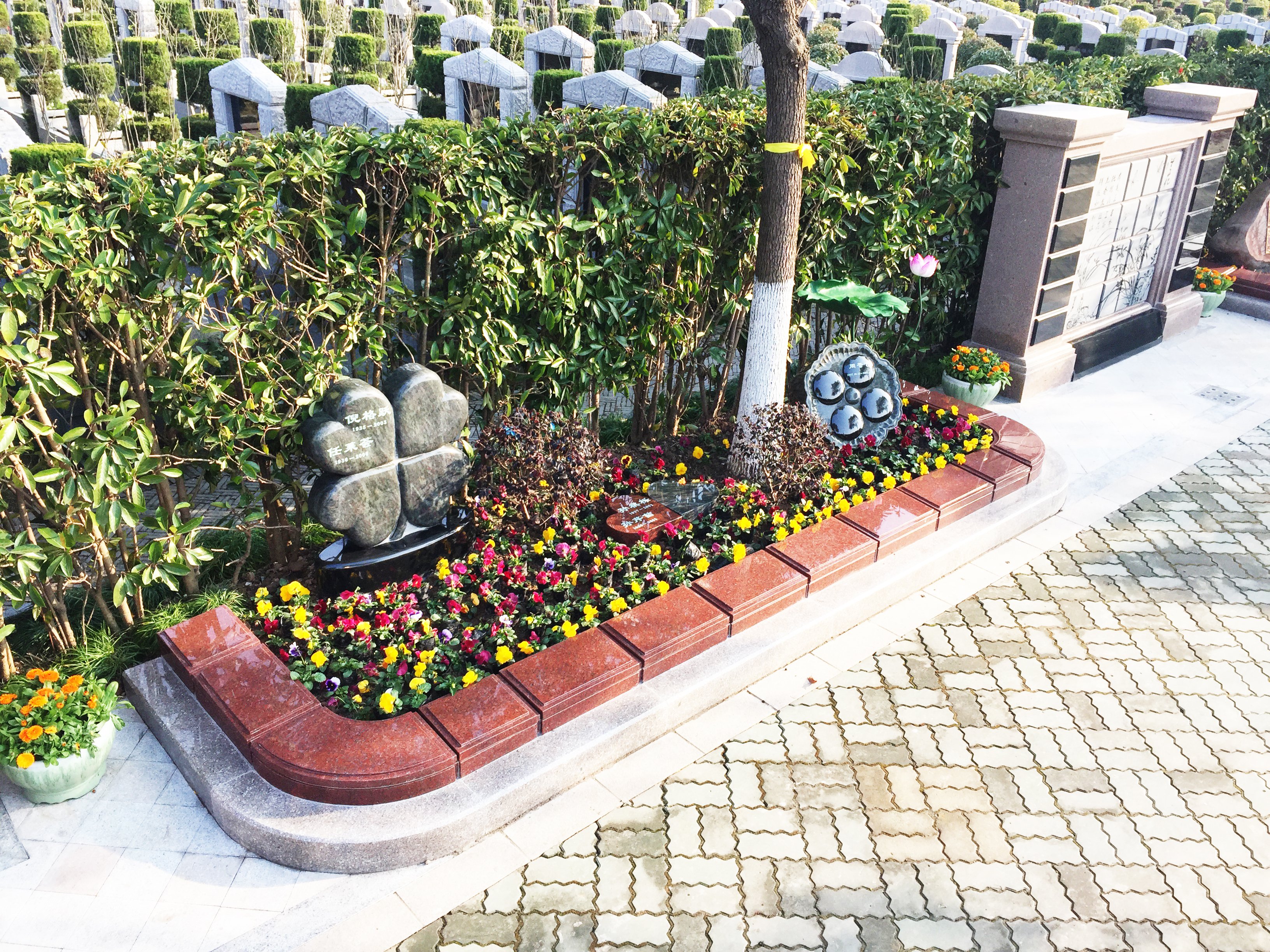 优德88·(中国区)官方网站