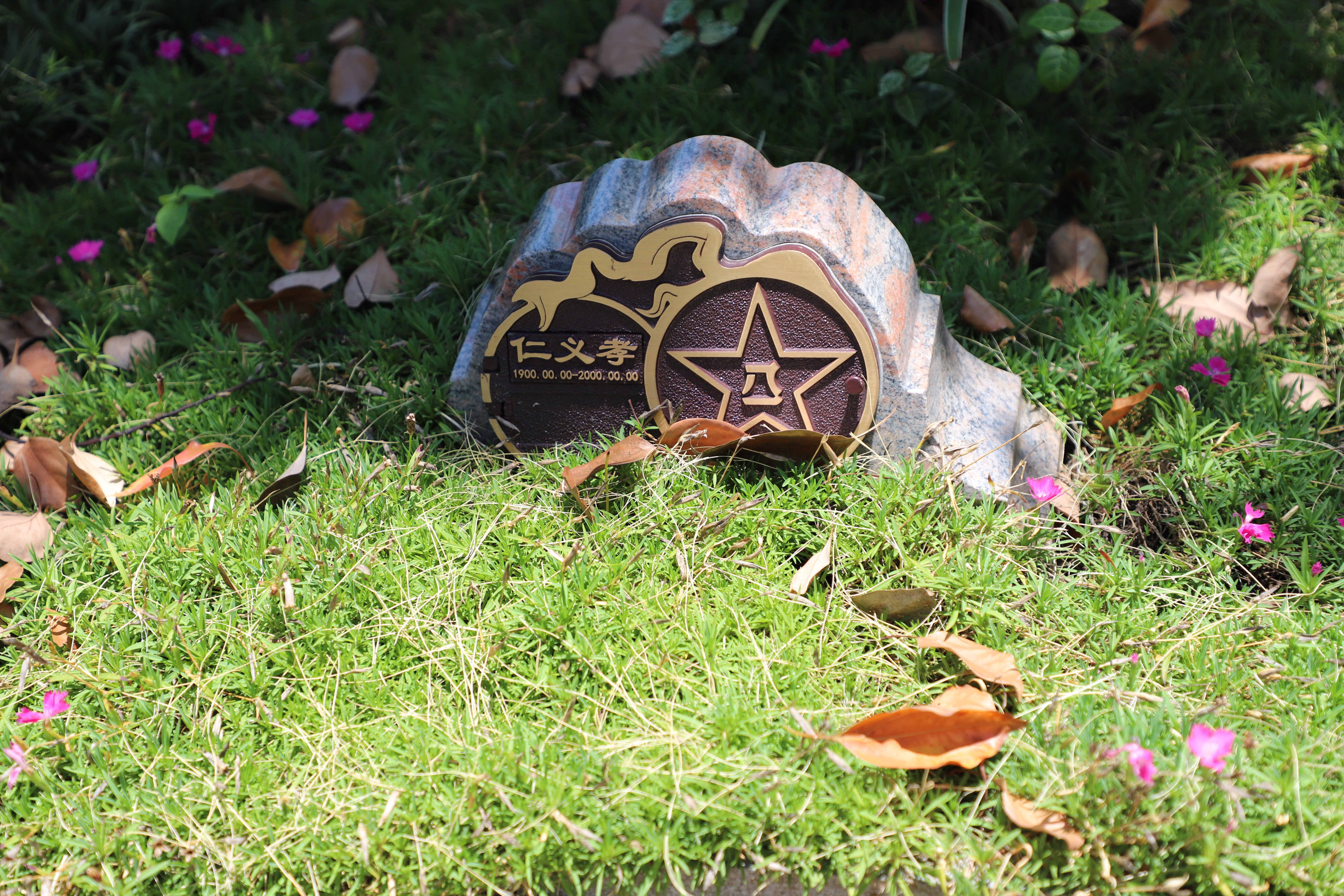 尘归尘，，，，，，，土归土：当生命终与自然相融