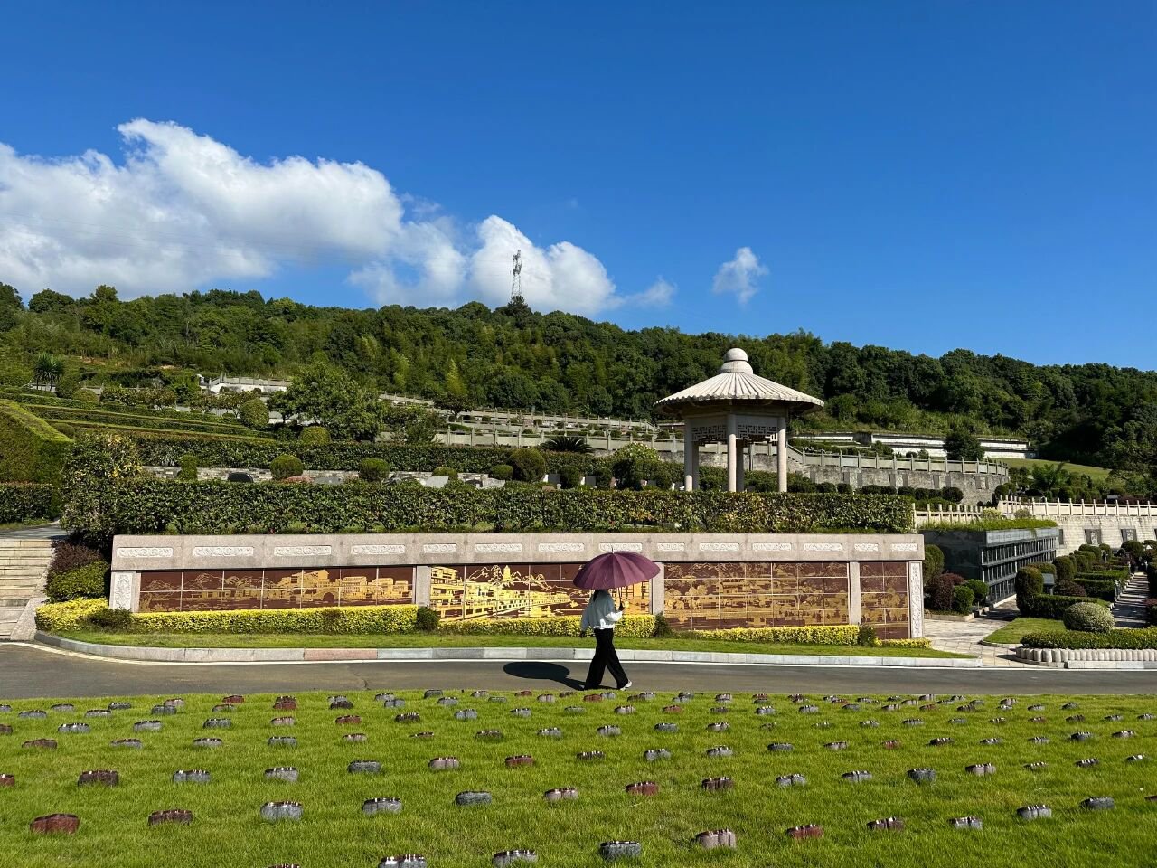 优德88·(中国区)官方网站