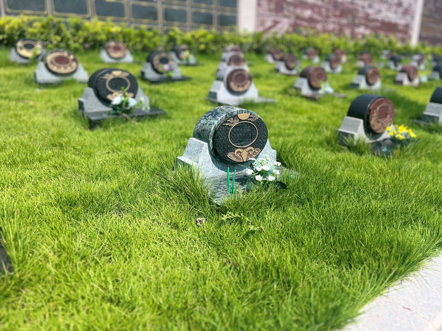 优德88·(中国区)官方网站