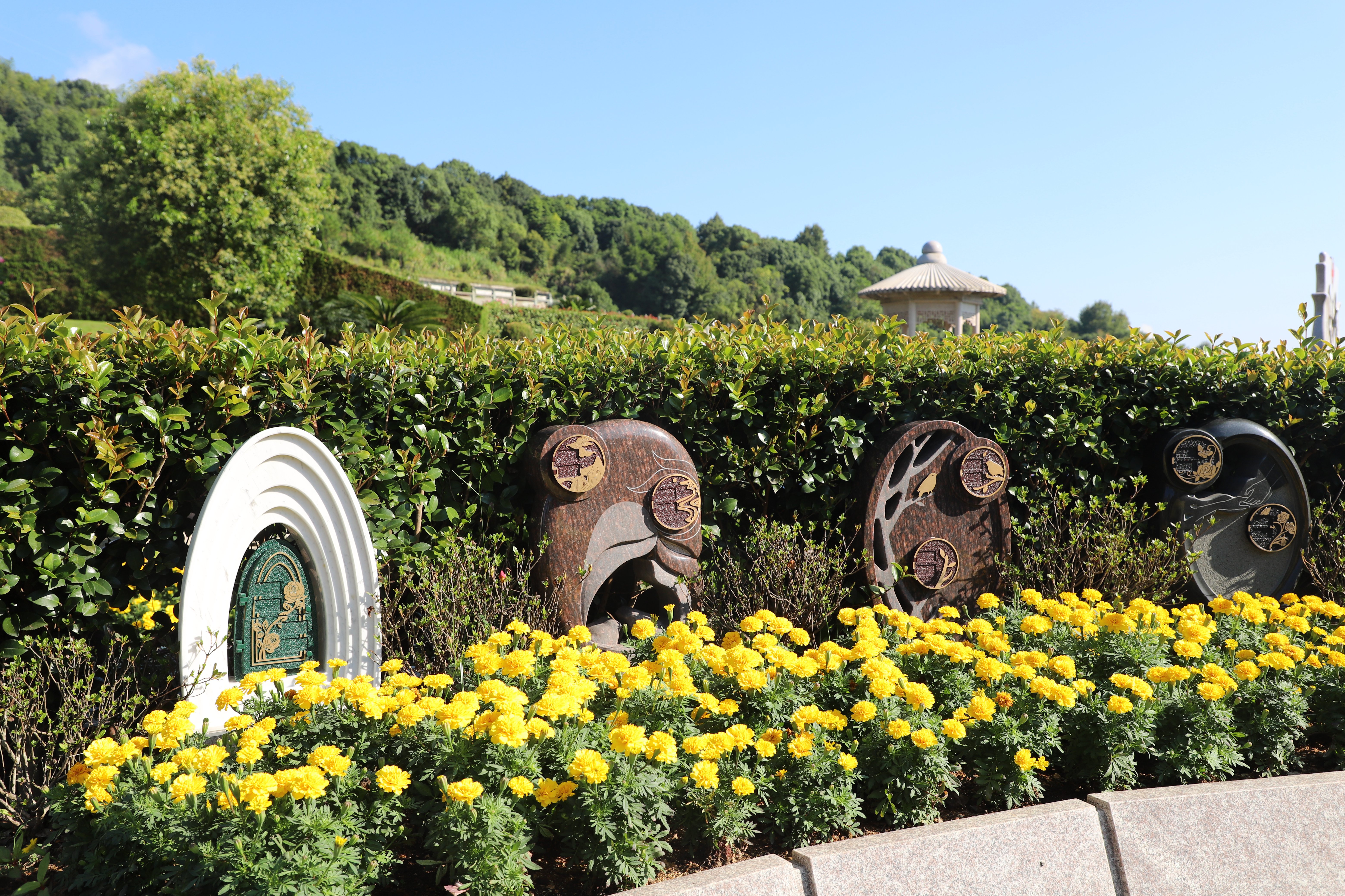 优德88·(中国区)官方网站